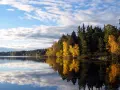 Lago calmo con riflessi di alberi autunnali dorati e verdi. Un'ottima idea per le cose da fare a Stoccolma in autunno.