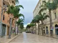 Viale alberato con palme, negozi e palazzi eleganti, ideale per scoprire cosa vedere a Brindisi in un giorno.