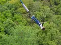 Donna in caduta libera durante un'emozionante esperienza di bungee jumping in Italia, circondata da una lussureggiante foresta verde.
