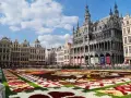 Tappeto di fiori a Bruxelles, un'idea per cosa vedere a Bruxelles in 3 giorni. Grand Place con architetture storiche e folla.