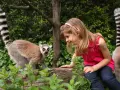 Bambina interagisce con un lemure dalla coda ad anelli nel zoo più grande d'Italia.