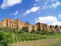Scogliere dorate e vigneti rigogliosi sotto un cielo azzurro con nuvole bianche, un paesaggio tipico di Castelfranco di Sopra.