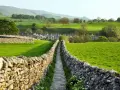 Sentiero tra muretti a secco in Yorkshire, con case di pietra e dolci colline verdi.
