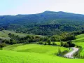 Dolci colline verdi nel Val di Cecina, con una strada tortuosa che serpeggia tra alberi e campi.