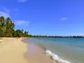 Spiaggia tropicale con palme e acque cristalline, un angolo di paradiso nelle isole francesi caraibi.