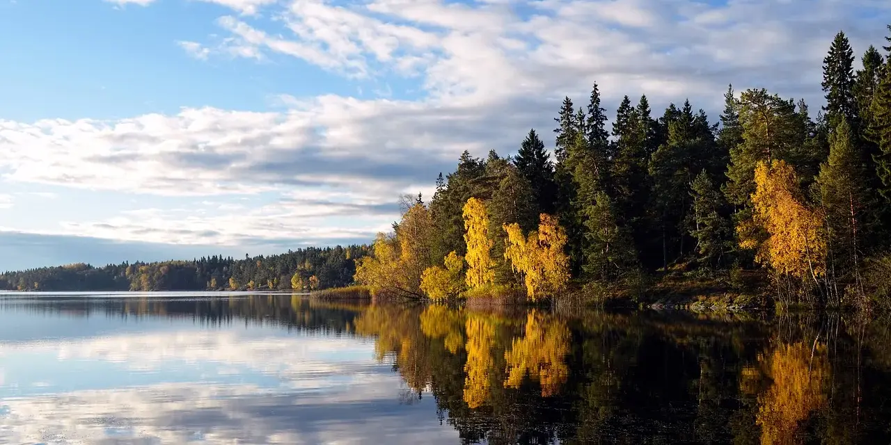 Lago calmo con riflessi di alberi autunnali dorati e verdi. Un'ottima idea per le cose da fare a Stoccolma in autunno.