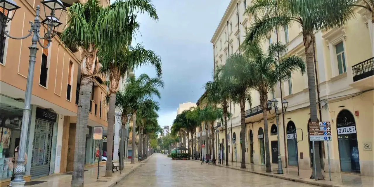 Viale alberato con palme, negozi e palazzi eleganti, ideale per scoprire cosa vedere a Brindisi in un giorno.