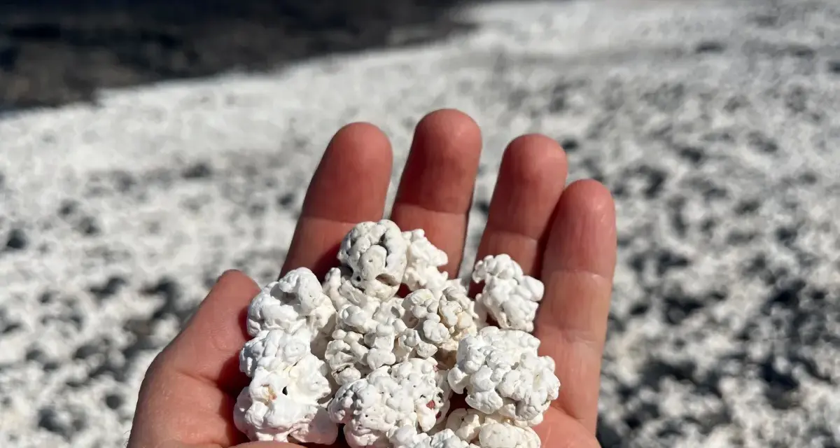 Mano che raccoglie la "spiaggia pop corn" di Fuerteventura, un paesaggio unico di rocce bianche e arrotondate.