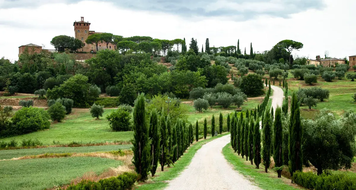 Strada bianca serpeggia tra cipressi e ulivi, conduce a un borgo medievale in collina nel Val d'Orcia.
