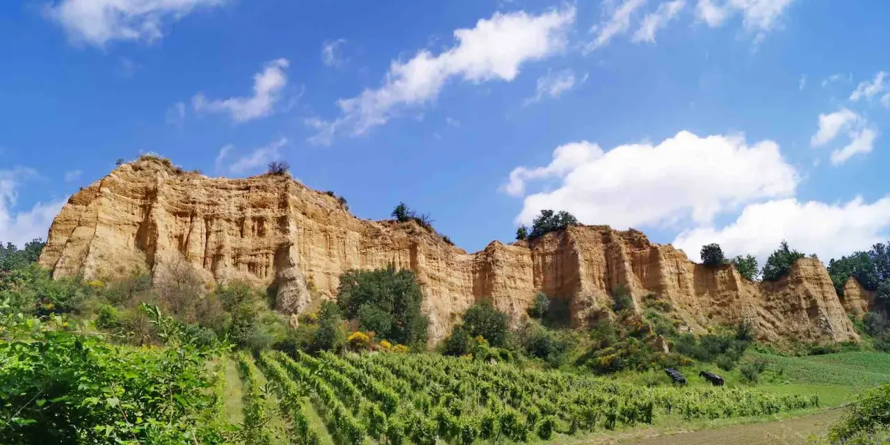 Scogliere dorate e vigneti rigogliosi sotto un cielo azzurro con nuvole bianche, un paesaggio tipico di Castelfranco di Sopra.