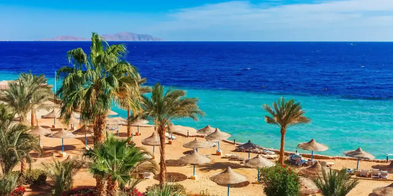 Spiaggia con palme, ombrelloni e mare turchese. Perfetto per scoprire cosa fare a Marsa Alam e rilassarsi.
