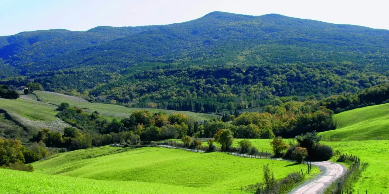 Dolci colline verdi nel Val di Cecina, con una strada tortuosa che serpeggia tra alberi e campi.