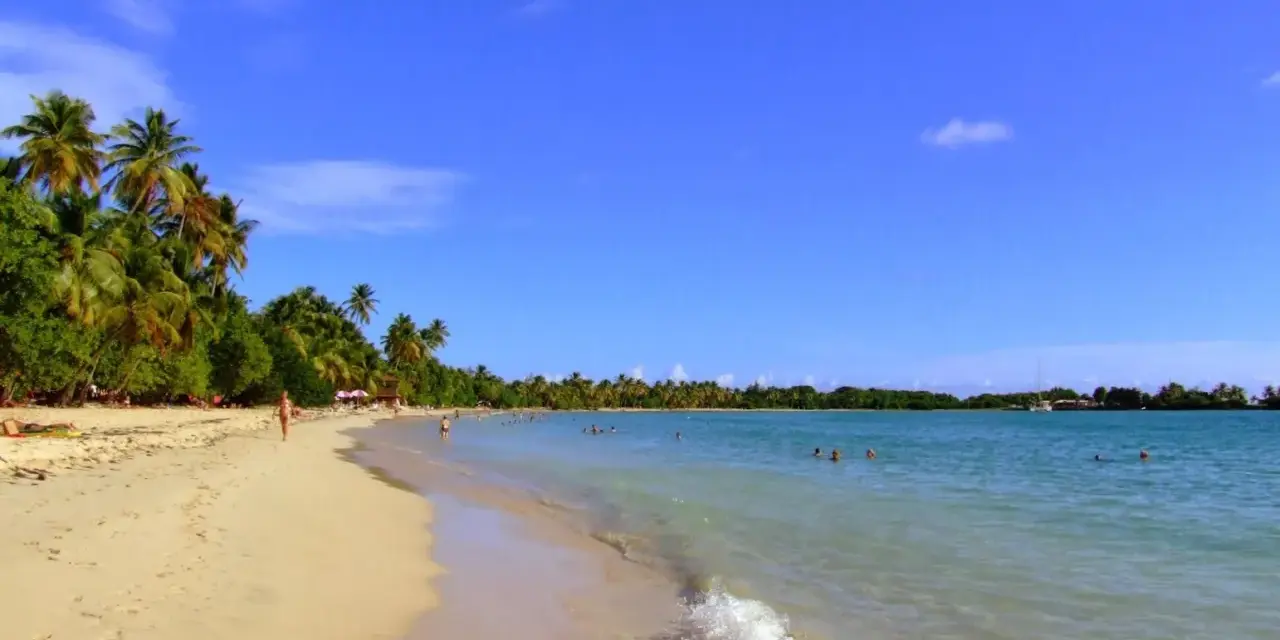 Spiaggia tropicale con palme e acque cristalline, un angolo di paradiso nelle isole francesi caraibi.