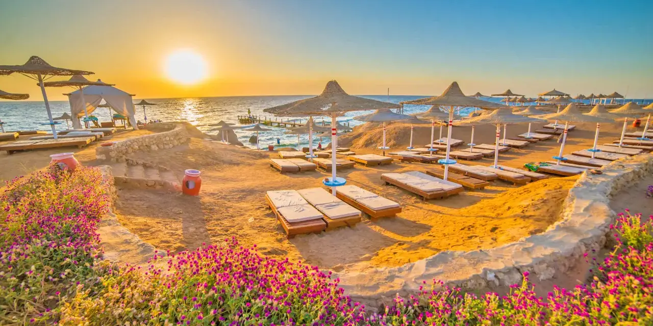 Spiaggia dorata al tramonto, lettini pronti per il relax. Questo è il periodo migliore per andare a Sharm, con fiori viola in primo piano.