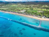 Vista aerea di una spiaggia dorata e del mare cristallino a Castiglione della Pescaia, con pineta e campi verdi sullo sfondo.