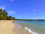 Spiaggia tropicale con palme e acque cristalline, un angolo di paradiso nelle isole francesi caraibi.