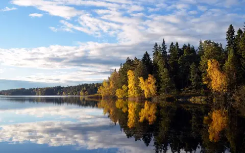 Lago calmo con riflessi di alberi autunnali dorati e verdi. Un'ottima idea per le cose da fare a Stoccolma in autunno.