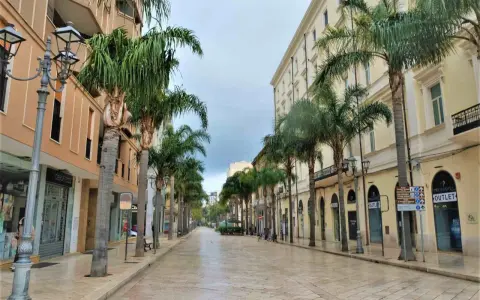 Viale alberato con palme, negozi e palazzi eleganti, ideale per scoprire cosa vedere a Brindisi in un giorno.