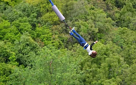 Donna in caduta libera durante un'emozionante esperienza di bungee jumping in Italia, circondata da una lussureggiante foresta verde.