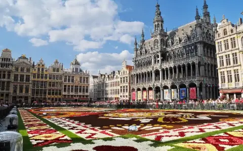 Tappeto di fiori a Bruxelles, un'idea per cosa vedere a Bruxelles in 3 giorni. Grand Place con architetture storiche e folla.