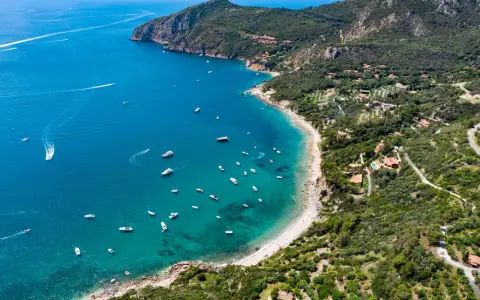 Baia con acque cristalline e numerose barche, incastonata nella costa verdeggiante dell'Argentario, dove si trova un paradiso naturale.