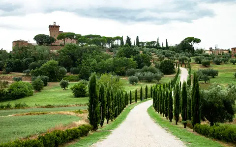 Strada bianca serpeggia tra cipressi e ulivi, conduce a un borgo medievale in collina nel Val d'Orcia.