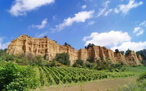 Scogliere dorate e vigneti rigogliosi sotto un cielo azzurro con nuvole bianche, un paesaggio tipico di Castelfranco di Sopra.