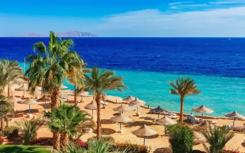 Spiaggia con palme, ombrelloni e mare turchese. Perfetto per scoprire cosa fare a Marsa Alam e rilassarsi.