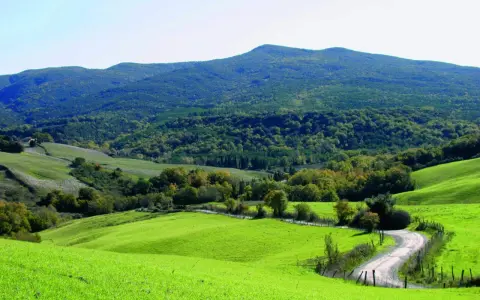 Dolci colline verdi nel Val di Cecina, con una strada tortuosa che serpeggia tra alberi e campi.
