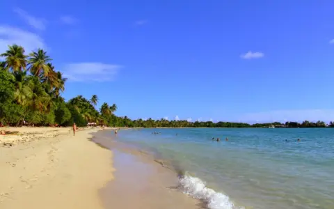 Spiaggia tropicale con palme e acque cristalline, un angolo di paradiso nelle isole francesi caraibi.