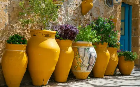 Vasi gialli decorati con un volto femminile, piante rigogliose e un muro in pietra: scorci suggestivi di Bagheria cosa vedere.