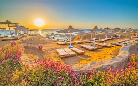 Spiaggia dorata al tramonto, lettini pronti per il relax. Questo è il periodo migliore per andare a Sharm, con fiori viola in primo piano.