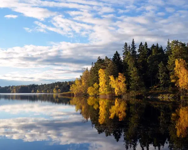 Lago calmo con riflessi di alberi autunnali dorati e verdi. Un'ottima idea per le cose da fare a Stoccolma in autunno.