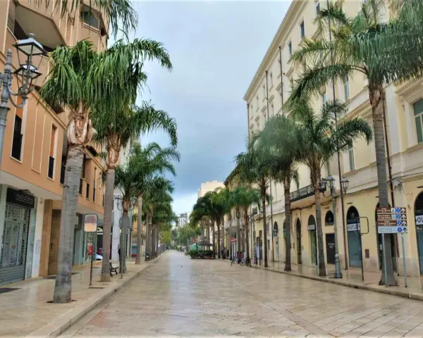 Viale alberato con palme, negozi e palazzi eleganti, ideale per scoprire cosa vedere a Brindisi in un giorno.