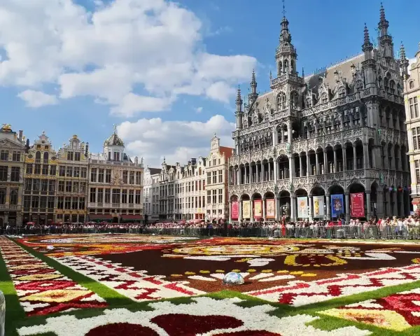 Tappeto di fiori a Bruxelles, un'idea per cosa vedere a Bruxelles in 3 giorni. Grand Place con architetture storiche e folla.