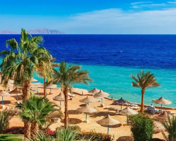Spiaggia con palme, ombrelloni e mare turchese. Perfetto per scoprire cosa fare a Marsa Alam e rilassarsi.