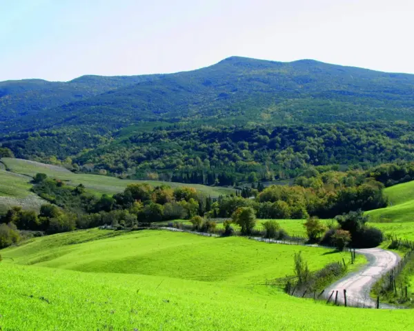 Dolci colline verdi nel Val di Cecina, con una strada tortuosa che serpeggia tra alberi e campi.