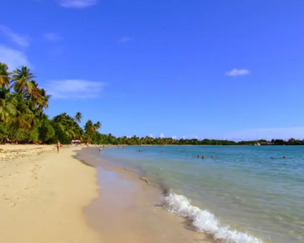 Spiaggia tropicale con palme e acque cristalline, un angolo di paradiso nelle isole francesi caraibi.