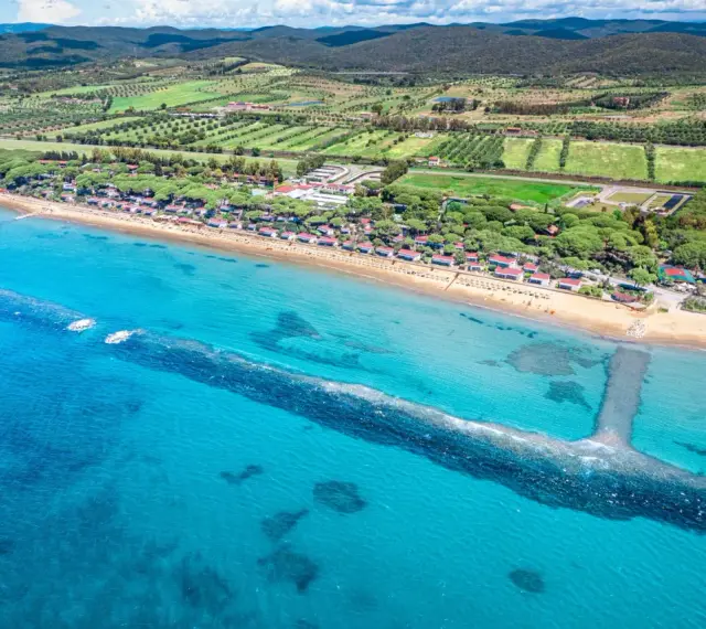 Vista aerea di una spiaggia dorata e del mare cristallino a Castiglione della Pescaia, con pineta e campi verdi sullo sfondo.