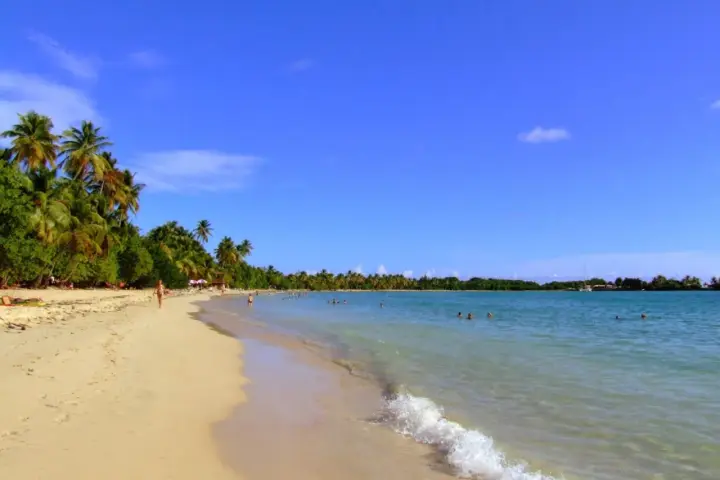 Spiaggia tropicale con palme e acque cristalline, un angolo di paradiso nelle isole francesi caraibi.