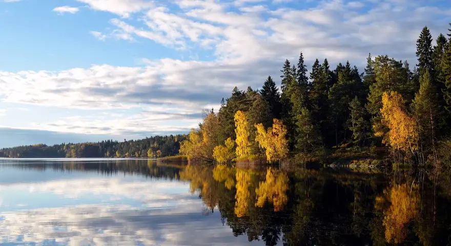Lago calmo con riflessi di alberi autunnali dorati e verdi. Un'ottima idea per le cose da fare a Stoccolma in autunno.