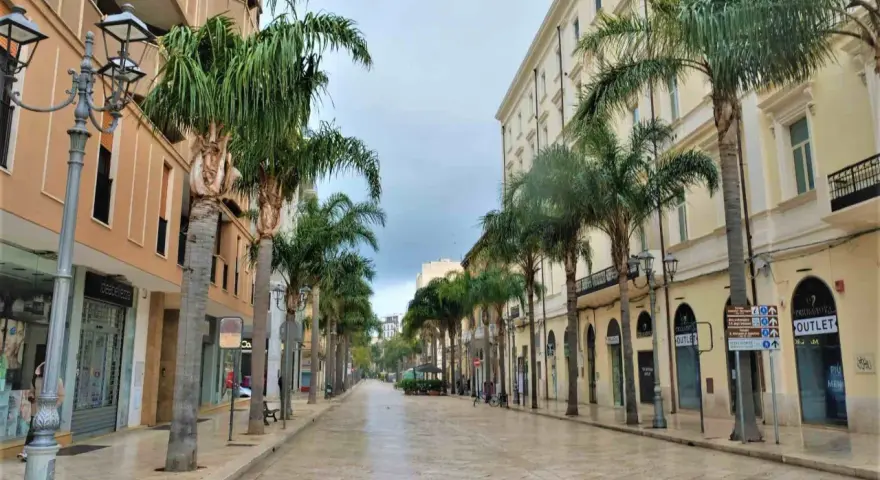 Viale alberato con palme, negozi e palazzi eleganti, ideale per scoprire cosa vedere a Brindisi in un giorno.
