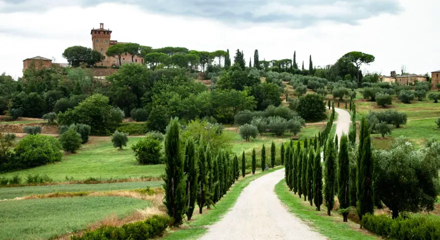 Strada bianca serpeggia tra cipressi e ulivi, conduce a un borgo medievale in collina nel Val d'Orcia.