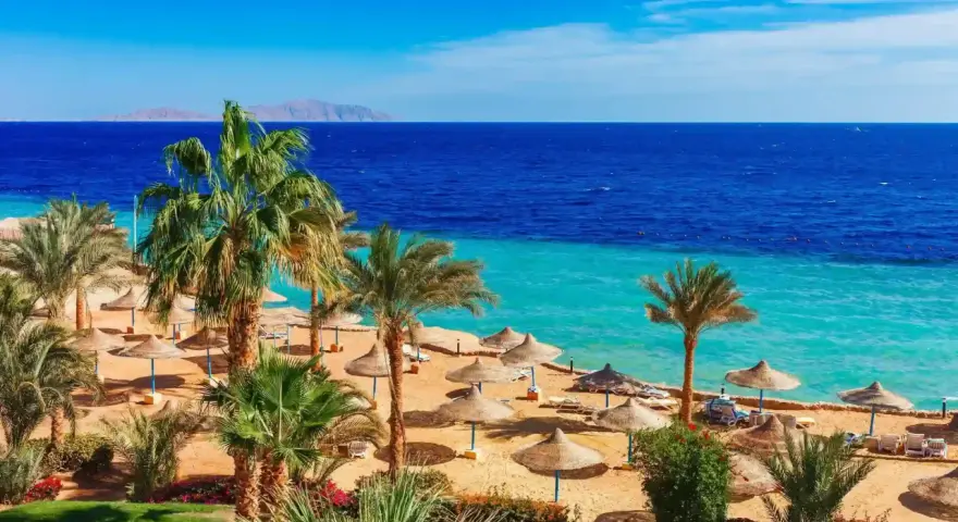 Spiaggia con palme, ombrelloni e mare turchese. Perfetto per scoprire cosa fare a Marsa Alam e rilassarsi.