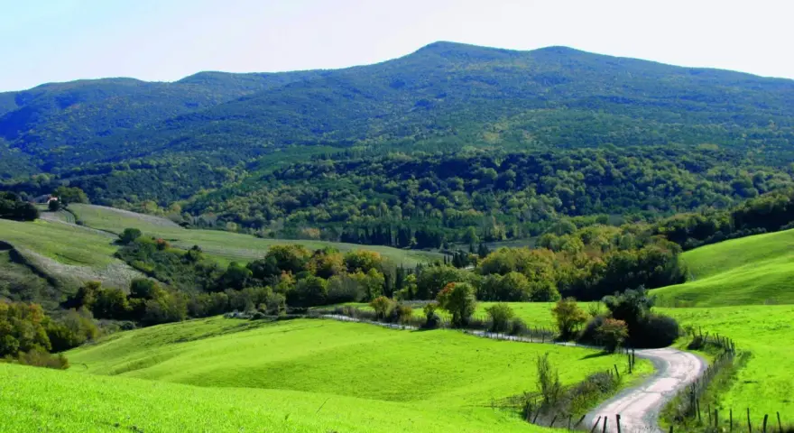 Dolci colline verdi nel Val di Cecina, con una strada tortuosa che serpeggia tra alberi e campi.