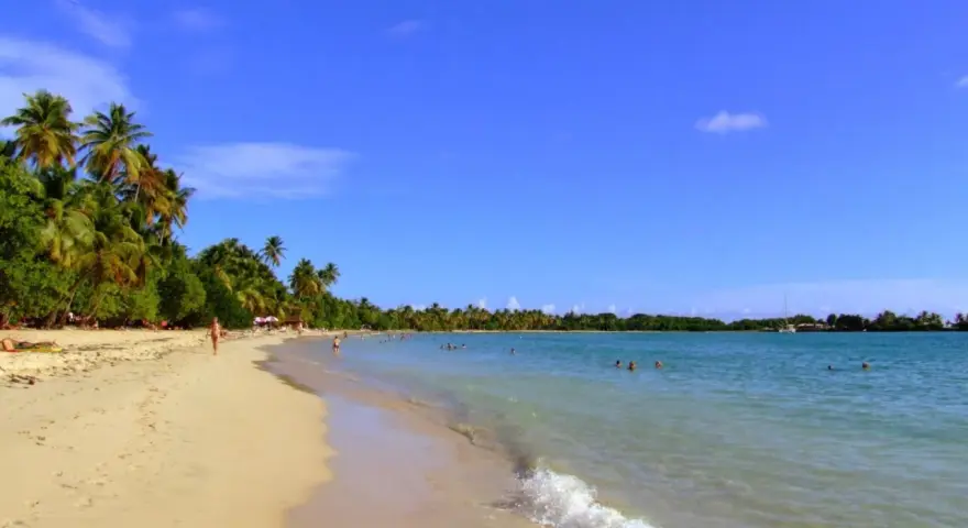 Spiaggia tropicale con palme e acque cristalline, un angolo di paradiso nelle isole francesi caraibi.