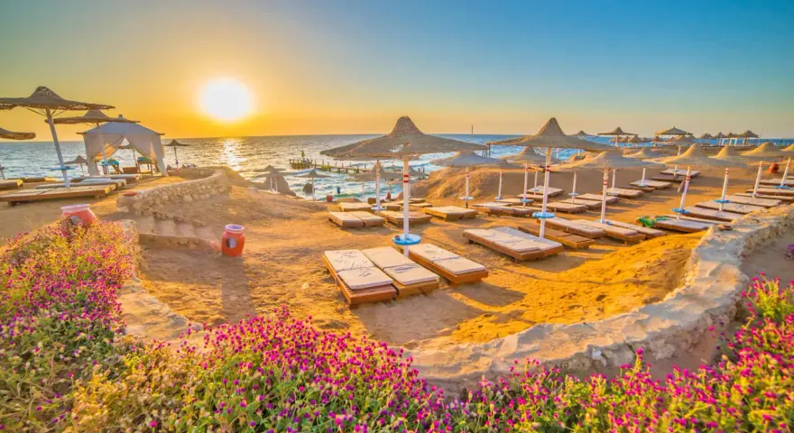 Spiaggia dorata al tramonto, lettini pronti per il relax. Questo è il periodo migliore per andare a Sharm, con fiori viola in primo piano.