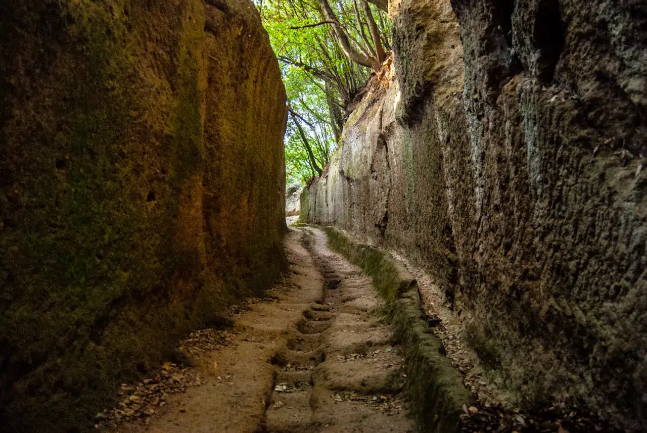 Un sentiero scavato nella roccia, tra alte pareti muschiose, con alberi che spuntano in cima. Un luogo suggestivo dove scoprire la storia, un vero tesoro da vedere.