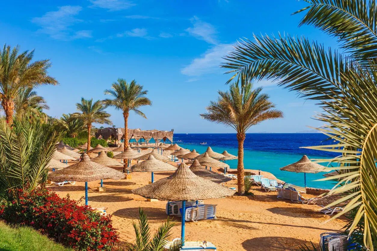 Spiaggia di Sharm con ombrelloni di paglia, palme e mare blu. Il periodo migliore per andare a Sharm &egrave; questo, con sole e temperature ideali.
